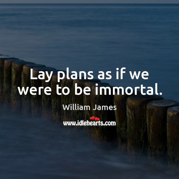 Lay plans as if we were to be immortal. William James Picture Quote