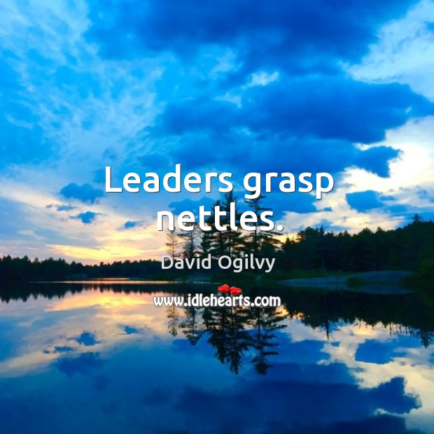 Leaders grasp nettles. David Ogilvy Picture Quote