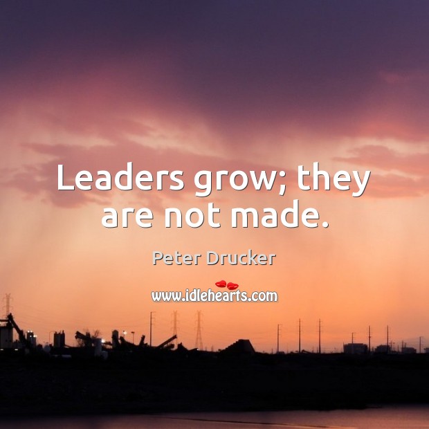Leaders grow; they are not made. Peter Drucker Picture Quote