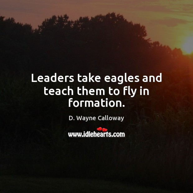 Leaders take eagles and teach them to fly in formation. Image