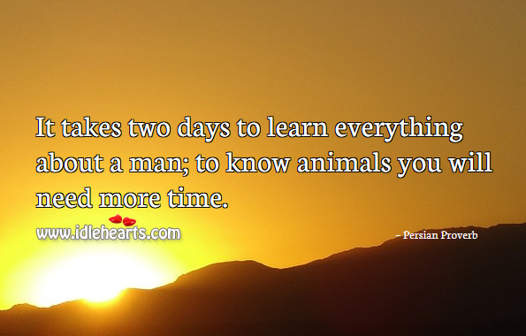 It takes two days to learn everything about a man; to know animals you will need more time. Image