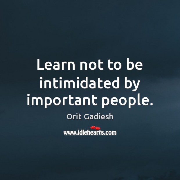 Learn not to be intimidated by important people. Orit Gadiesh Picture Quote