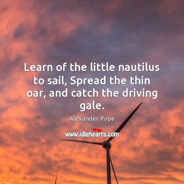 Learn of the little nautilus to sail, Spread the thin oar, and catch the driving gale. Alexander Pope Picture Quote