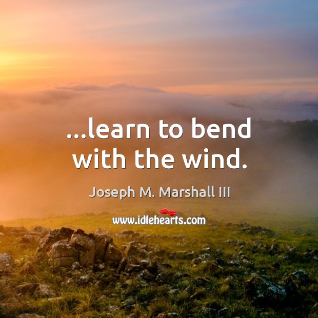 …learn to bend with the wind. Joseph M. Marshall III Picture Quote