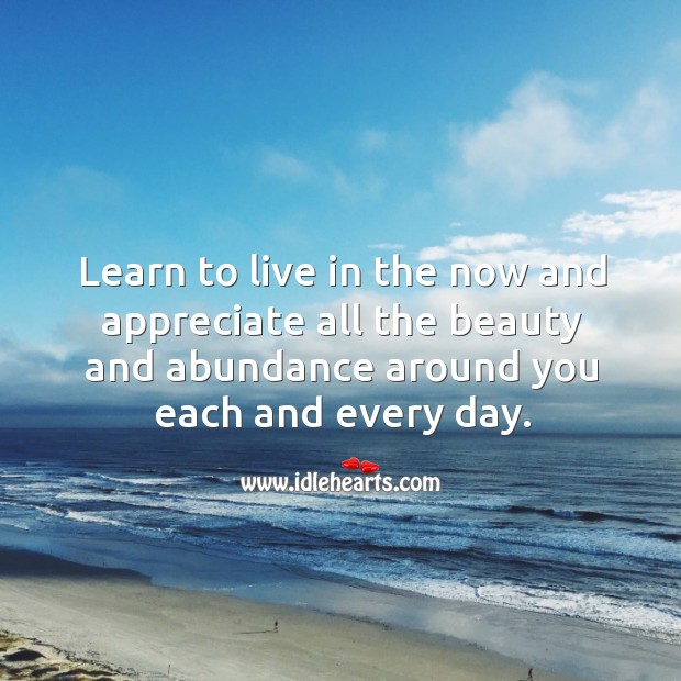 Learn to live in the now and appreciate all the beauty and abundance around you each and every day. Appreciate Quotes Image