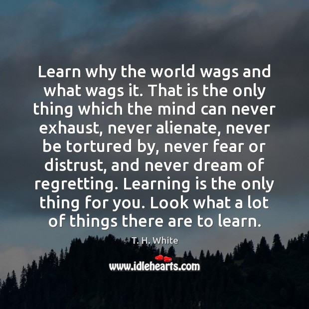 Learn why the world wags and what wags it. That is the Learning Quotes Image