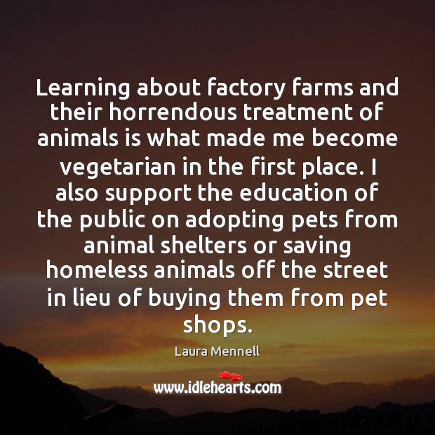 Learning about factory farms and their horrendous treatment of animals is what Laura Mennell Picture Quote