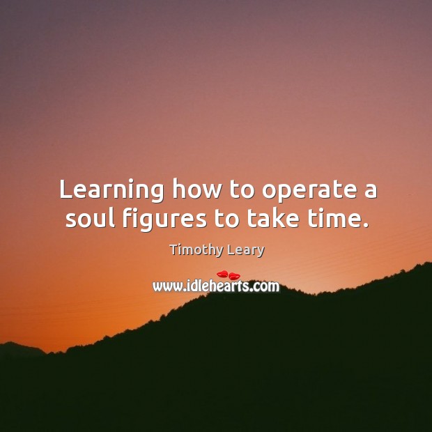 Learning how to operate a soul figures to take time. Timothy Leary Picture Quote