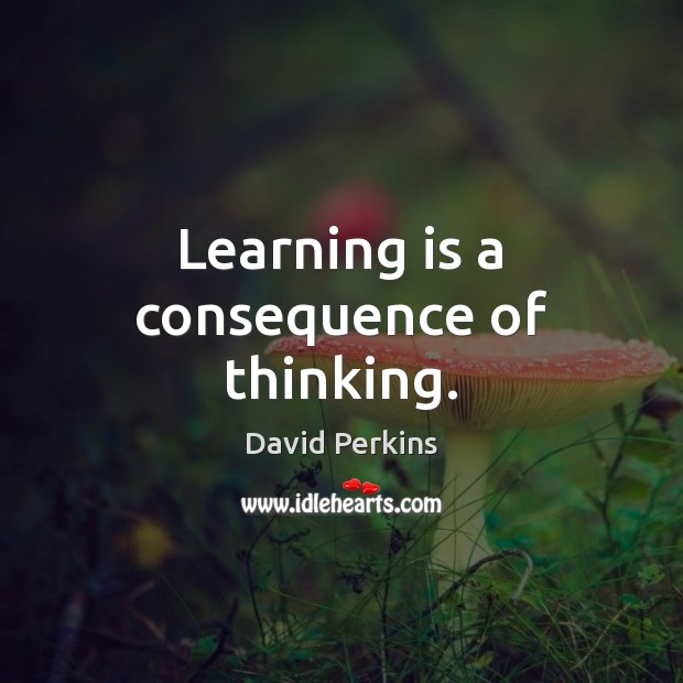 Learning is a consequence of thinking. Image