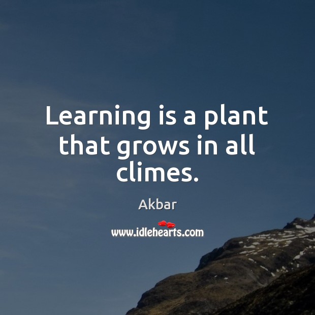Learning is a plant that grows in all climes. Akbar Picture Quote