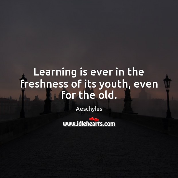 Learning is ever in the freshness of its youth, even for the old. Image