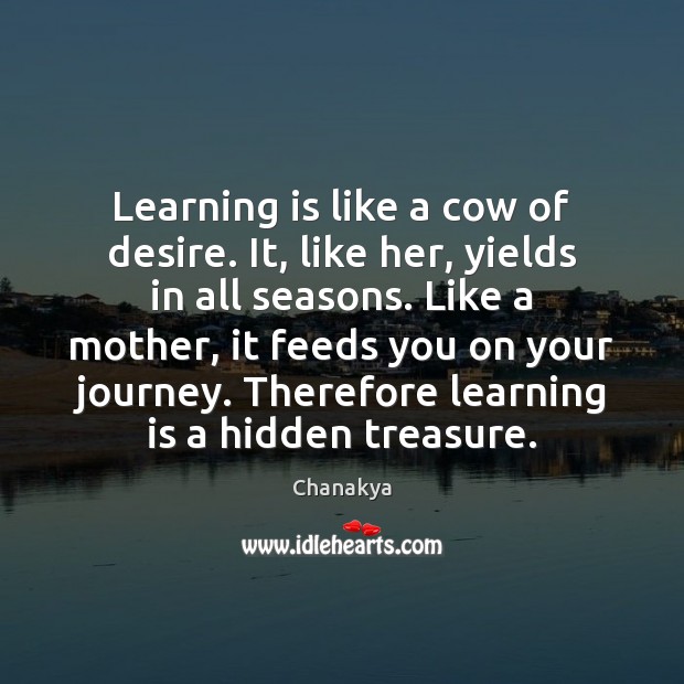Learning is like a cow of desire. It, like her, yields in Chanakya Picture Quote