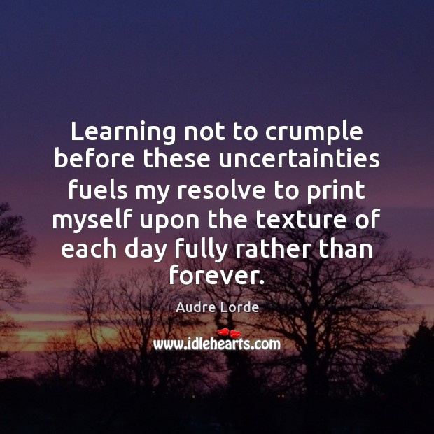 Learning not to crumple before these uncertainties fuels my resolve to print Audre Lorde Picture Quote