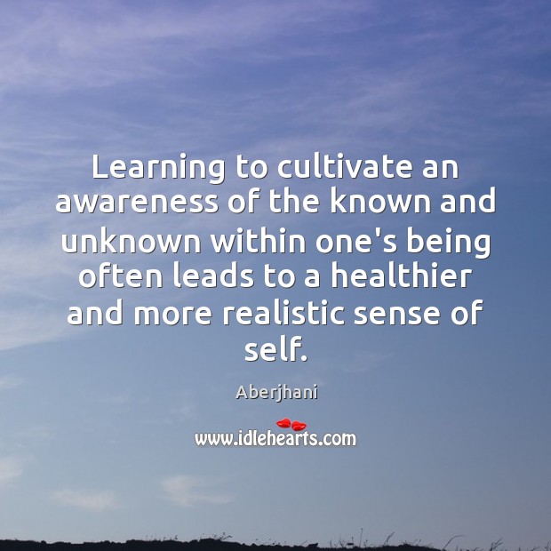 Learning to cultivate an awareness of the known and unknown within one’s Image