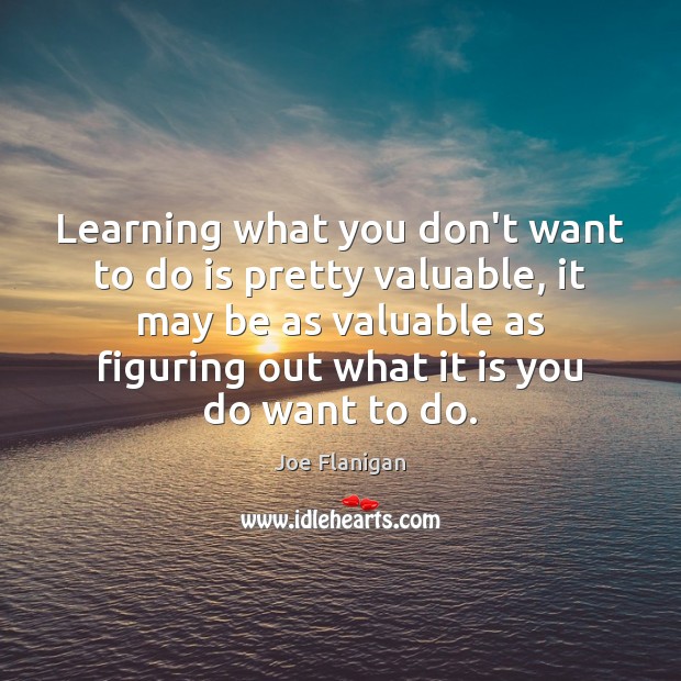 Learning what you don’t want to do is pretty valuable, it may Joe Flanigan Picture Quote