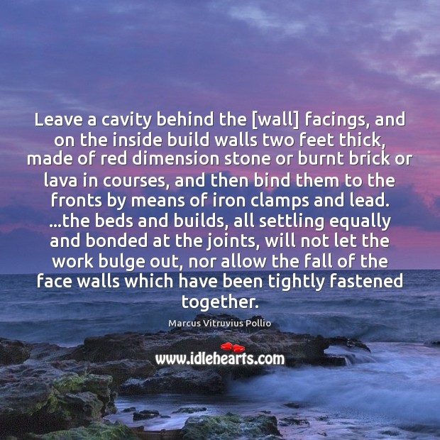 Leave a cavity behind the [wall] facings, and on the inside build Marcus Vitruvius Pollio Picture Quote