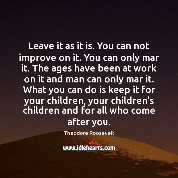 Leave it as it is. You can not improve on it. You Theodore Roosevelt Picture Quote