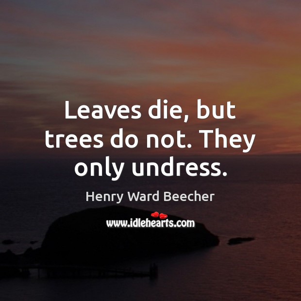 Leaves die, but trees do not. They only undress. Henry Ward Beecher Picture Quote