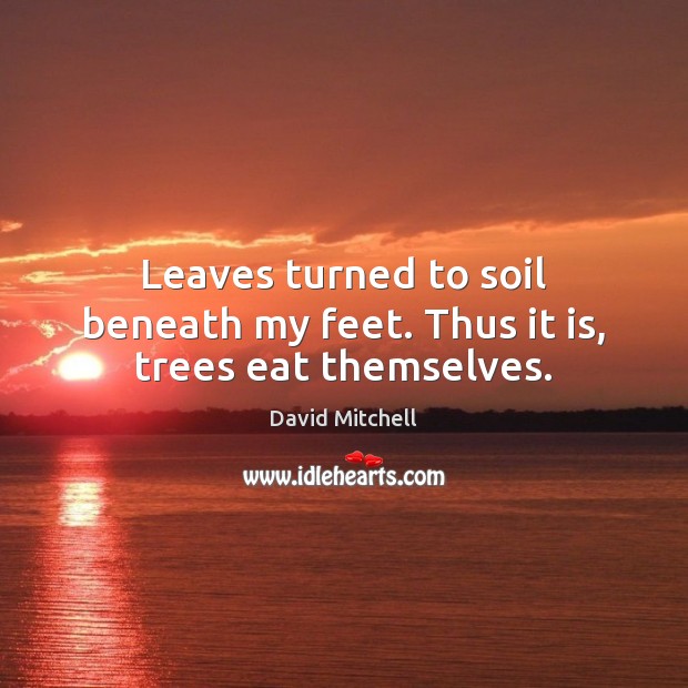 Leaves turned to soil beneath my feet. Thus it is, trees eat themselves. David Mitchell Picture Quote
