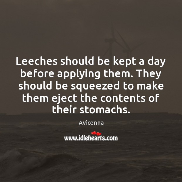 Leeches should be kept a day before applying them. They should be Avicenna Picture Quote