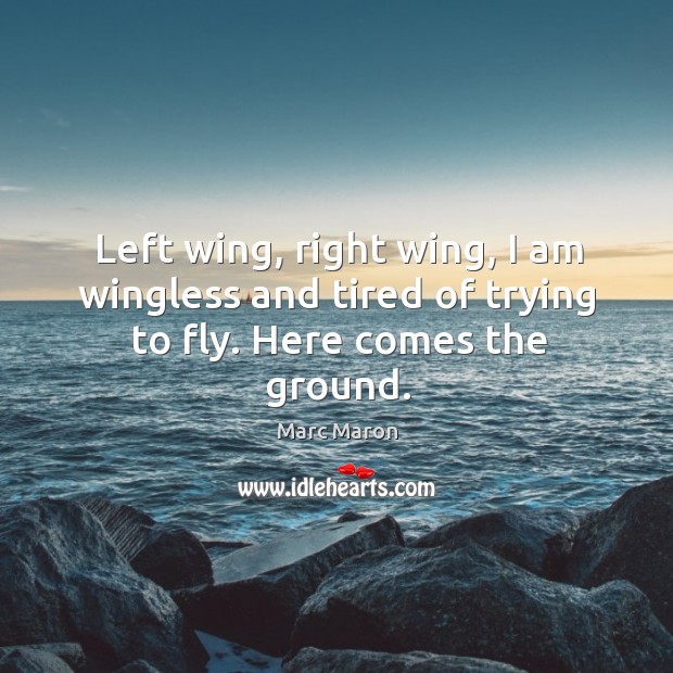 Left wing, right wing, I am wingless and tired of trying to fly. Here comes the ground. Marc Maron Picture Quote