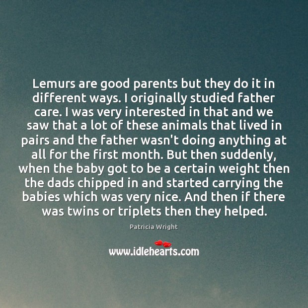 Lemurs are good parents but they do it in different ways. I Image