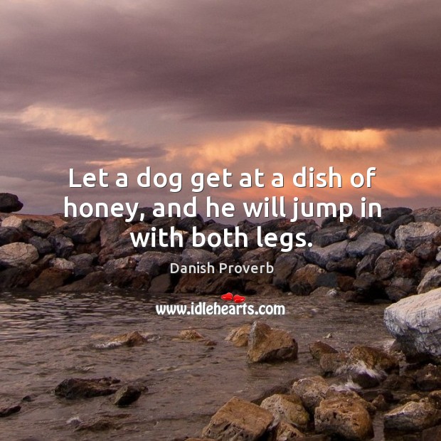 Let a dog get at a dish of honey, and he will jump in with both legs. Danish Proverbs Image