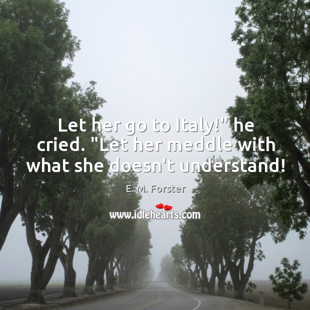 Let her go to Italy!” he cried. “Let her meddle with what she doesn’t understand! E. M. Forster Picture Quote