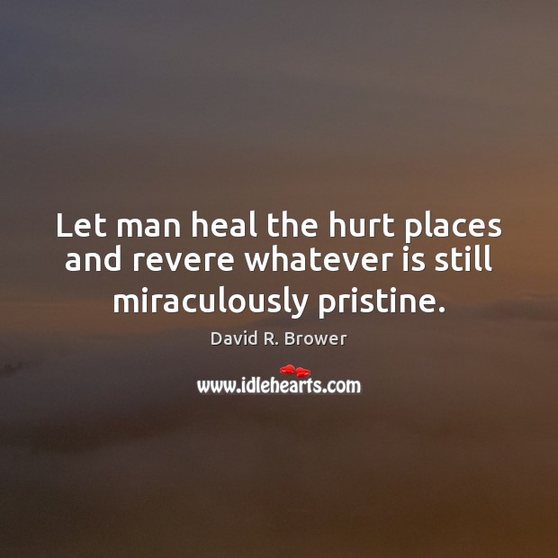 Let man heal the hurt places and revere whatever is still miraculously pristine. Image
