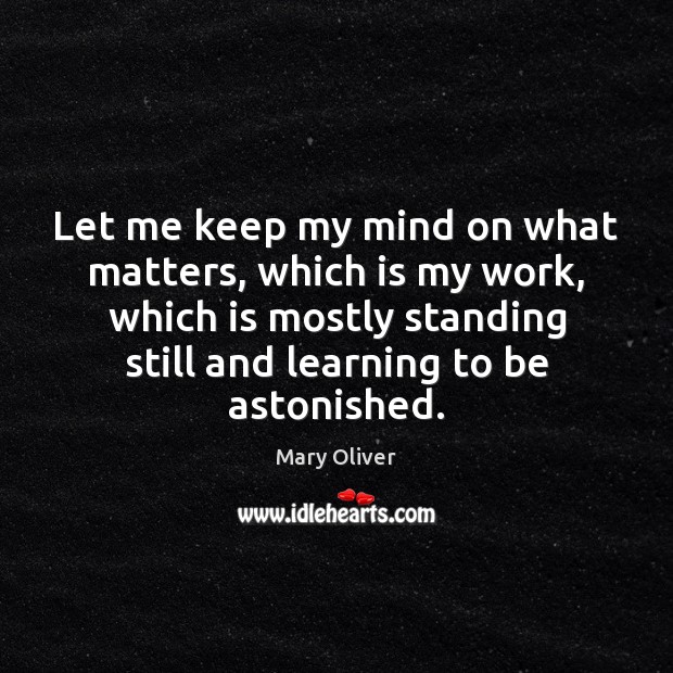 Let me keep my mind on what matters, which is my work, Mary Oliver Picture Quote