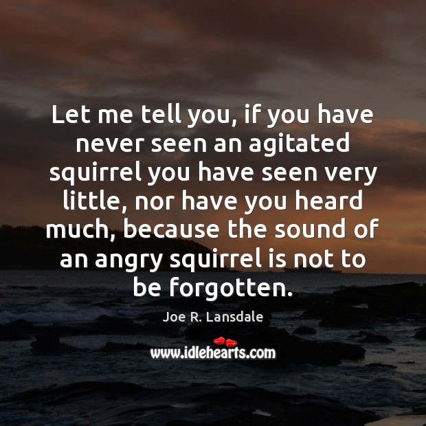 Let me tell you, if you have never seen an agitated squirrel Joe R. Lansdale Picture Quote