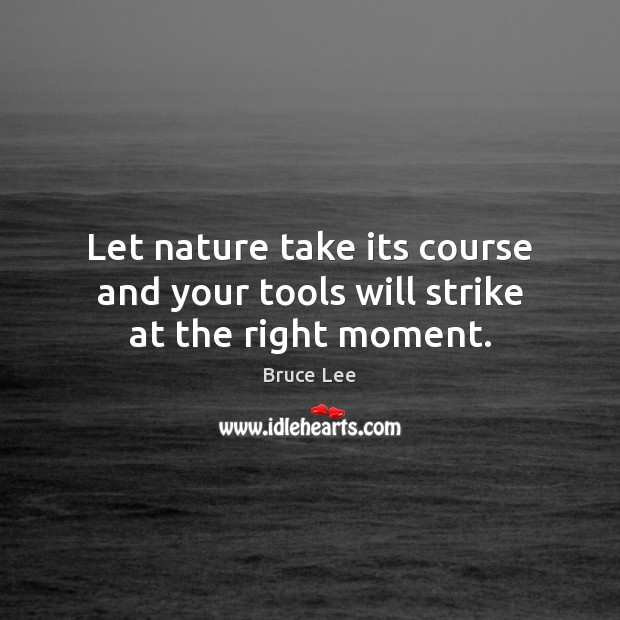 Let nature take its course and your tools will strike at the right moment. Bruce Lee Picture Quote
