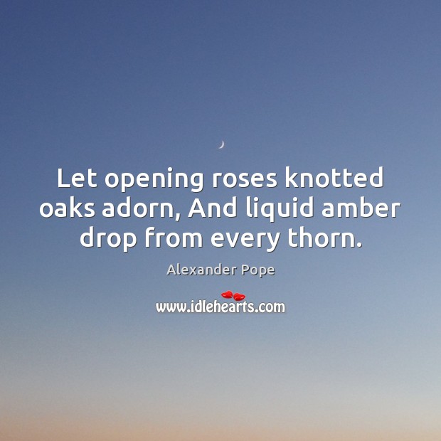 Let opening roses knotted oaks adorn, And liquid amber drop from every thorn. 