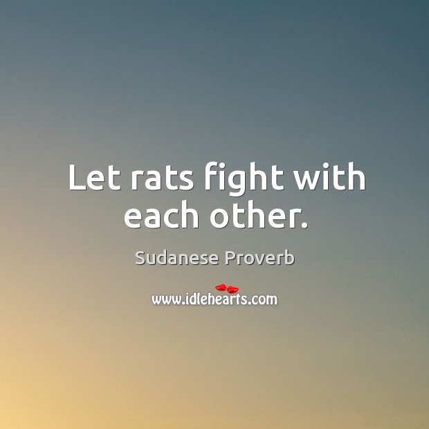 Let rats fight with each other. Sudanese Proverbs Image