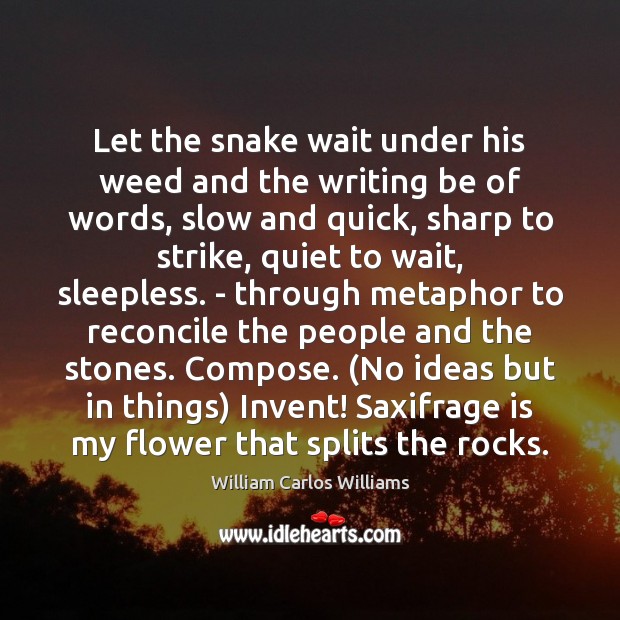 Let the snake wait under his weed and the writing be of William Carlos Williams Picture Quote