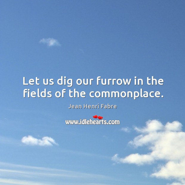 Let us dig our furrow in the fields of the commonplace. Image