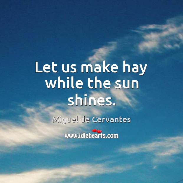 Let us make hay while the sun shines. Miguel de Cervantes Picture Quote