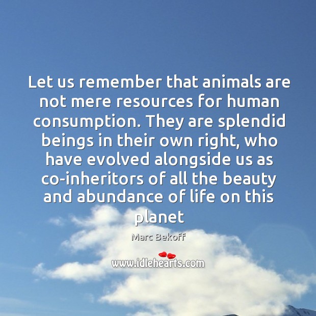 Let us remember that animals are not mere resources for human consumption. Marc Bekoff Picture Quote