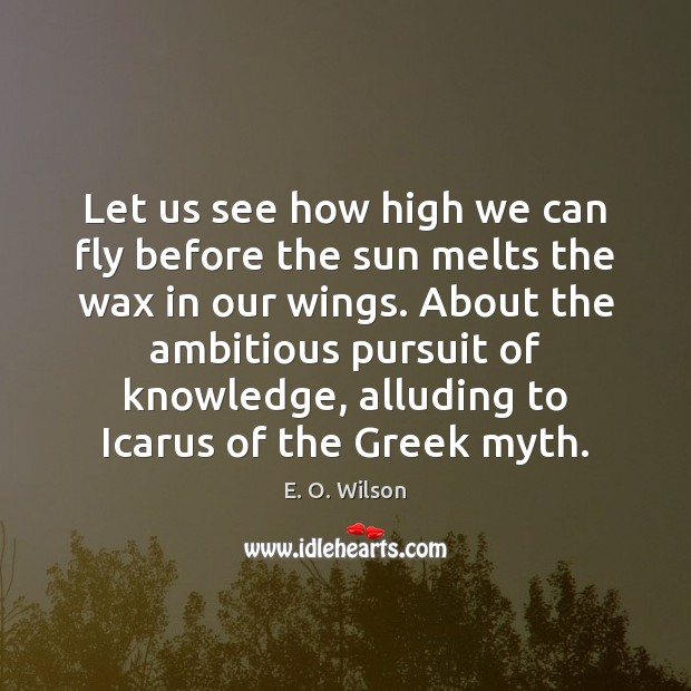 Let us see how high we can fly before the sun melts E. O. Wilson Picture Quote