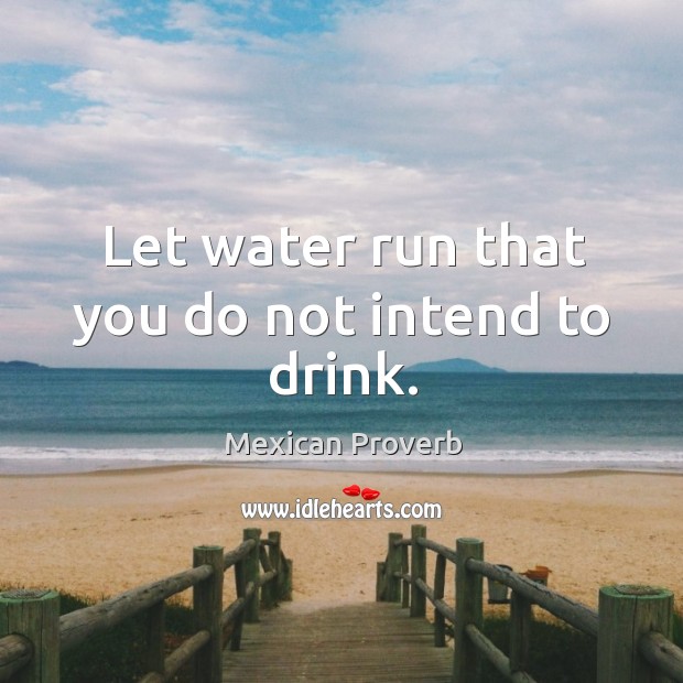 Let water run that you do not intend to drink. Mexican Proverbs Image