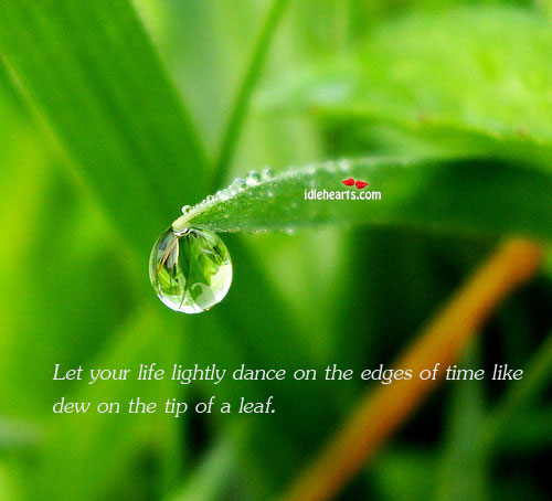 Let your life lightly dance on the edges of time Image