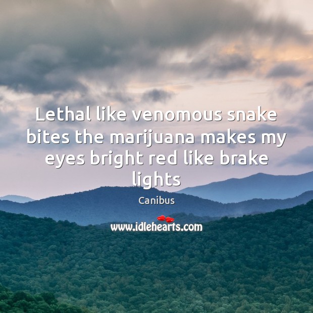 Lethal like venomous snake bites the marijuana makes my eyes bright red like brake lights Canibus Picture Quote