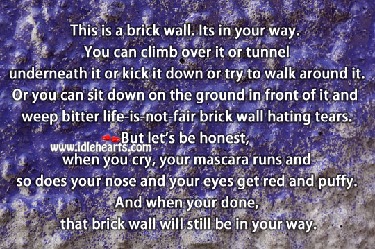 This is a brick wall. Its in your way. Life Messages Image