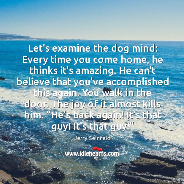 Let’s examine the dog mind: Every time you come home, he thinks Jerry Seinfeld Picture Quote