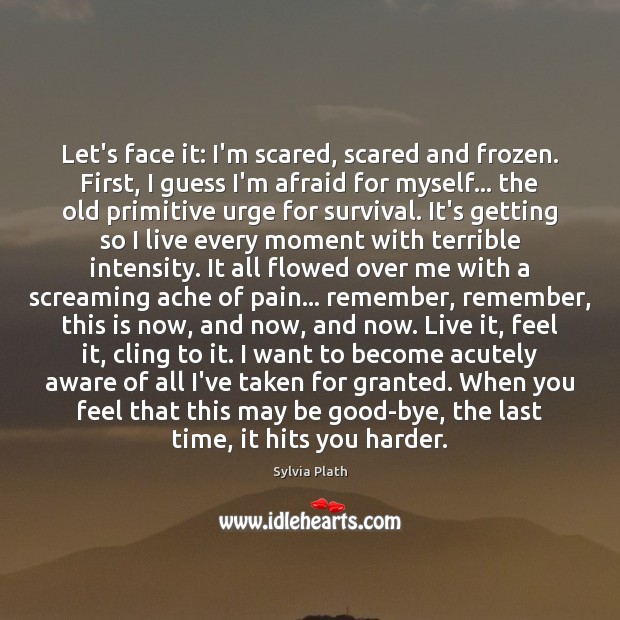 Let’s face it: I’m scared, scared and frozen. First, I guess I’m Sylvia Plath Picture Quote