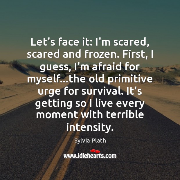 Let’s face it: I’m scared, scared and frozen. First, I guess, I’m Sylvia Plath Picture Quote