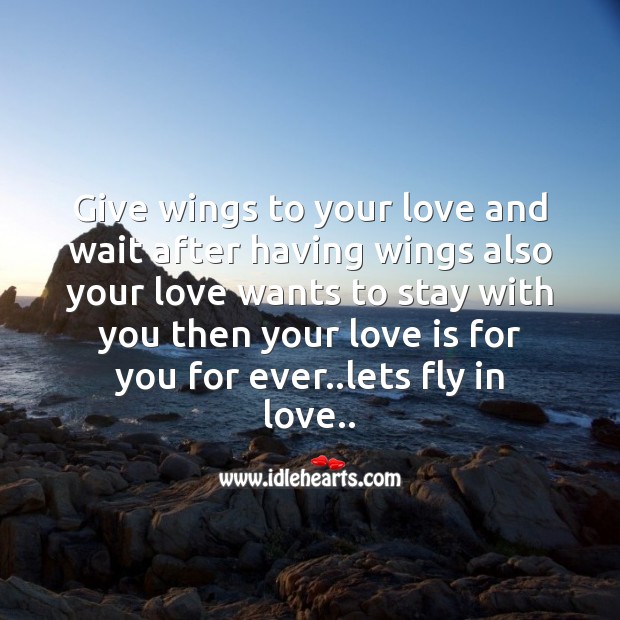 Lets fly in love. Image