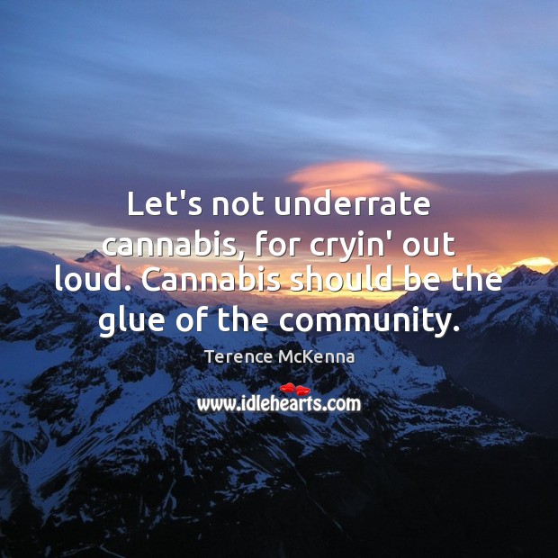 Let’s not underrate cannabis, for cryin’ out loud. Cannabis should be the Terence McKenna Picture Quote