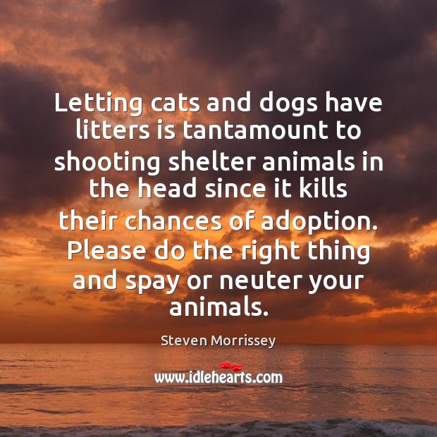 Letting cats and dogs have litters is tantamount to shooting shelter animals Steven Morrissey Picture Quote