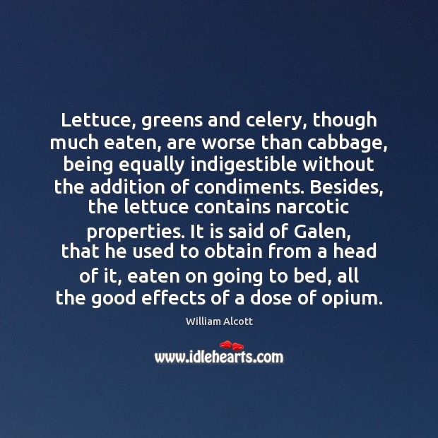 Lettuce, greens and celery, though much eaten, are worse than cabbage, being William Alcott Picture Quote